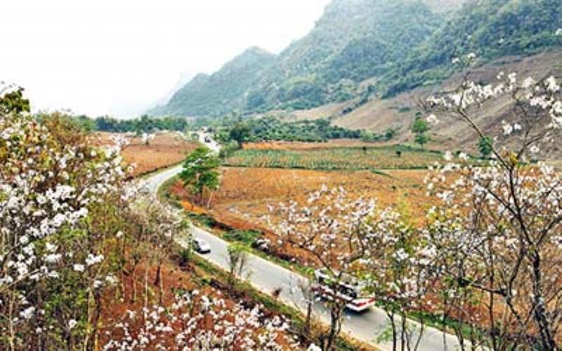 Đường đi đến Hang Táu Mộc Châu với phong cảnh thiên nhiên hùng vĩ hai bên